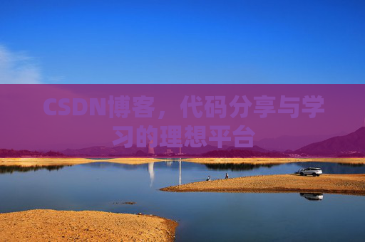 CSDN博客，代码分享与学习的理想平台
